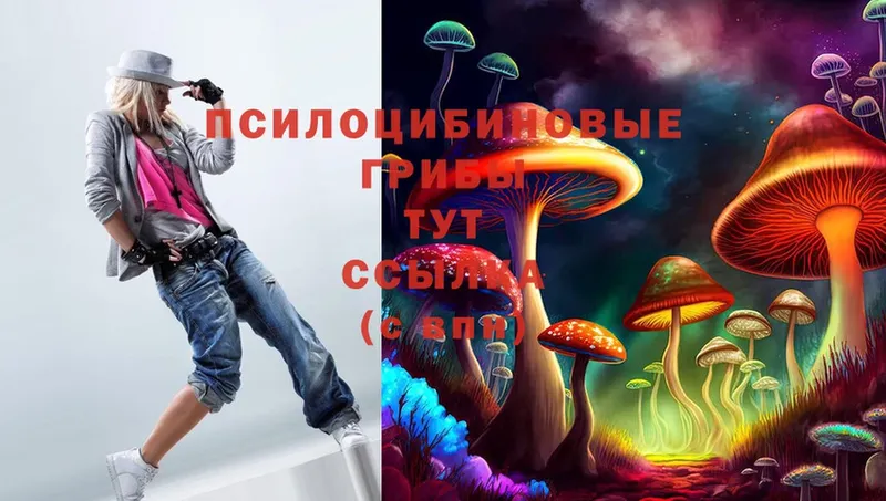 сколько стоит  Нахабино  Галлюциногенные грибы Cubensis 